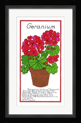 Framed Geranium Print