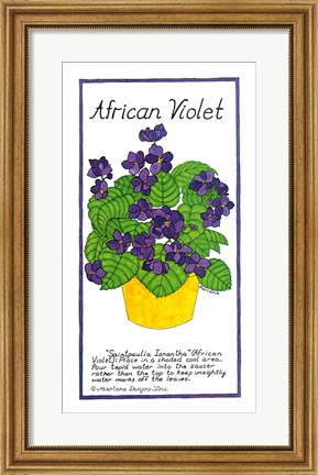 Framed African Violet Print