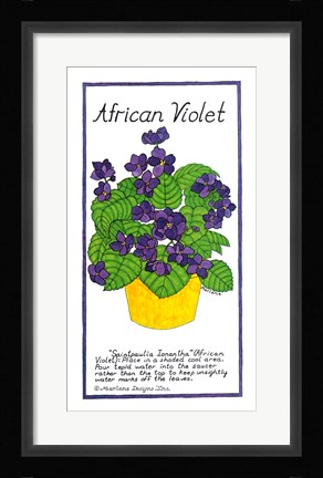 Framed African Violet Print