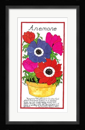 Framed Anemone Print