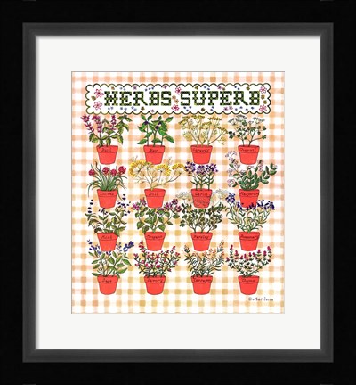 Framed Herbs Superb Print