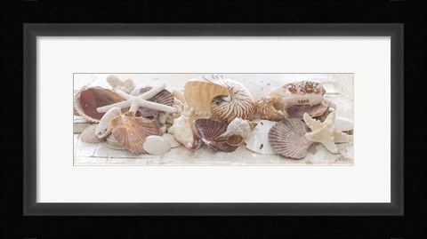 Framed Treasures by the Sea I Print