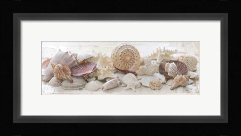Framed Treasures by the Sea II Print