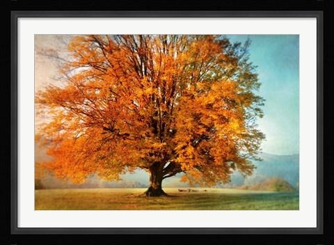 Framed Autumn's Passion Print