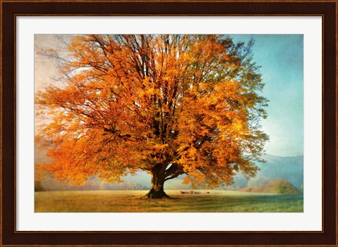 Framed Autumn&#39;s Passion Print