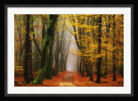 Framed Shimmer Print