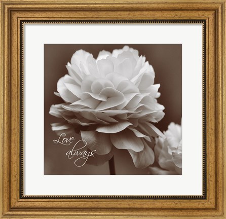 Framed Sepia Blossoms II Print