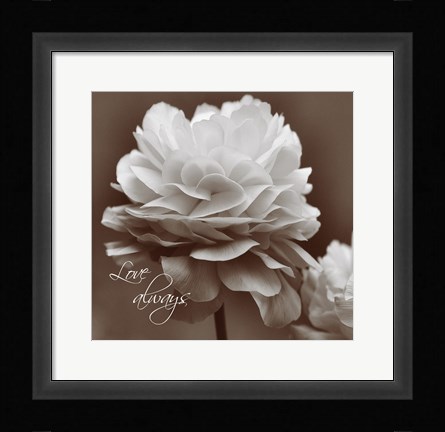Framed Sepia Blossoms II Print
