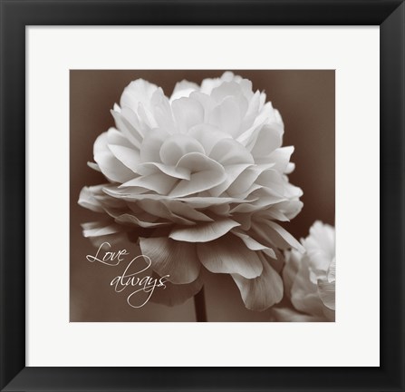Framed Sepia Blossoms II Print