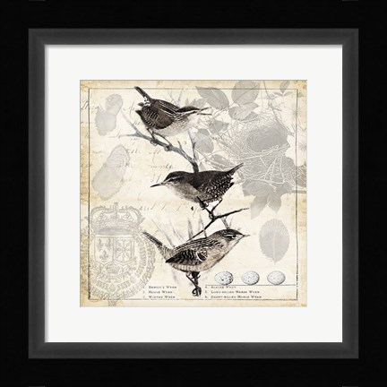 Framed Botanical Birds Black Cream I Print