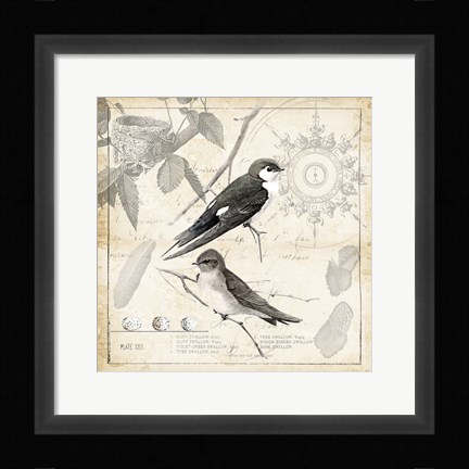 Framed Botanical Birds Black Cream II Print
