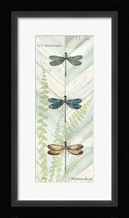 Framed Dragonfly Botanical Panels I Print