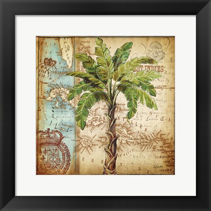 Framed Antique Nautical Palms I Print