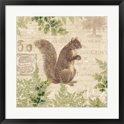 Framed Woodland Trail III (Squirrel) Print