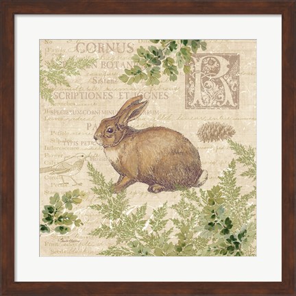 Framed Woodland Trail IV (Rabbit) Print