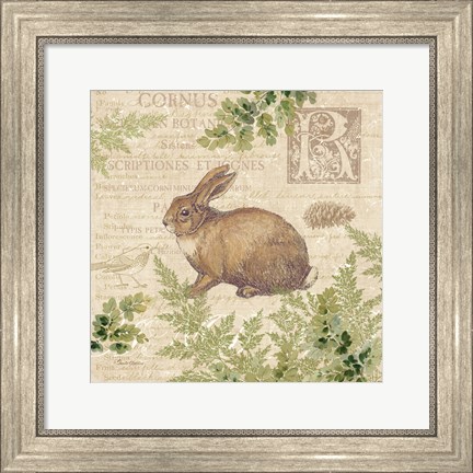 Framed Woodland Trail IV (Rabbit) Print