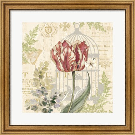 Framed Floral Nature Trail II Print