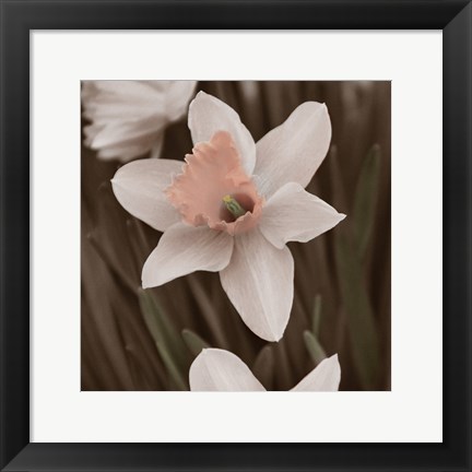 Framed Hint of Spring II Print