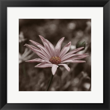 Framed Hint of Spring IV Print