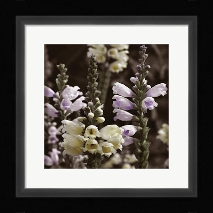 Framed Hint of Spring V Print