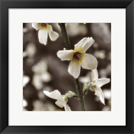 Framed Hint of Spring VI Print