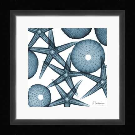 Framed Starfish 2 Print