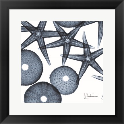 Framed Starfish Trip 3 Print