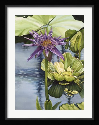 Framed Lily Print