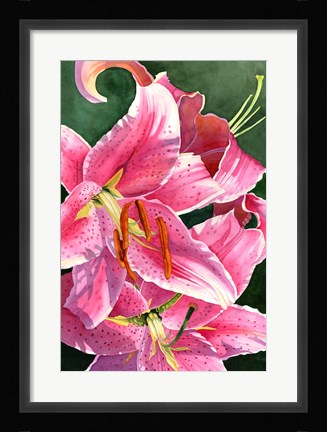 Framed Stargaze Print