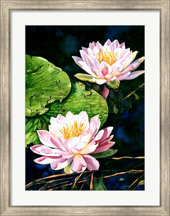 Framed Waterlily Reflections Print