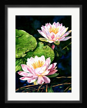Framed Waterlily Reflections Print