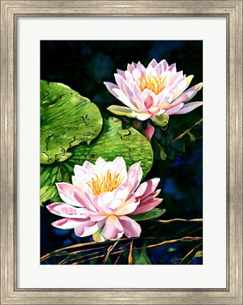 Framed Waterlily Reflections Print