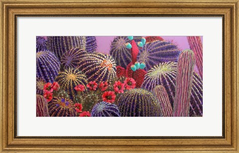 Framed Barrel Cactus 1 Print