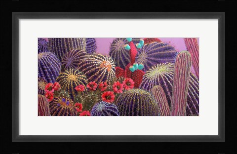 Framed Barrel Cactus 1 Print