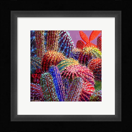 Framed Barrel Cactus 4 Print
