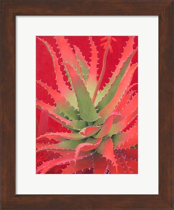 Framed Red Agave Print