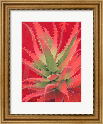 Framed Red Agave Print