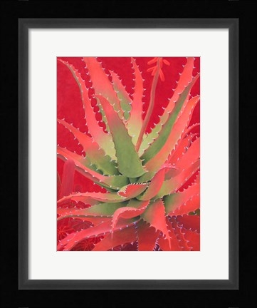 Framed Red Agave Print