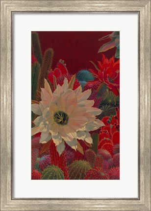 Framed Stella&#39;s Garden Print