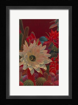 Framed Stella's Garden Print