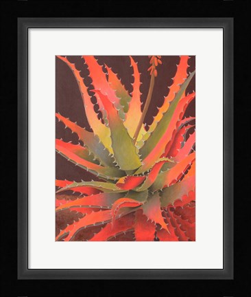 Framed Sunset Agave Print