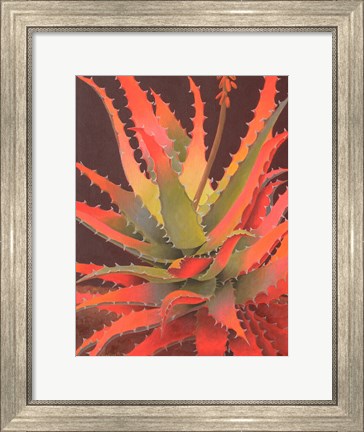 Framed Sunset Agave Print