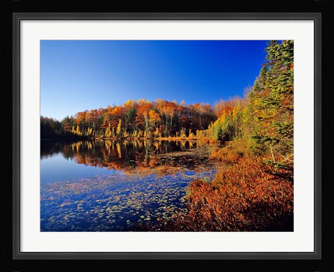 Framed Pond in the Chaquamegon National Forest, Cable, Wisconsin Print