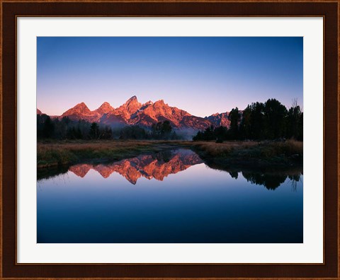 Framed Teton Range reflecting in Beaver Pond, Grand Teton National Park, Wyoming Print