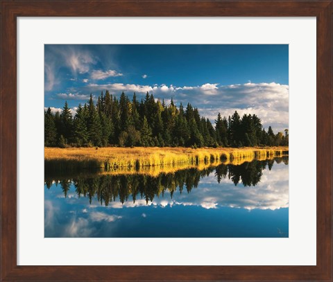 Framed Trees reflecting in Snake River, Grand Teton National Park, Wyoming Print