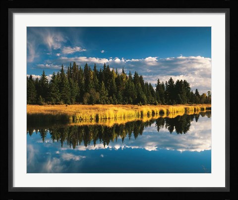 Framed Trees reflecting in Snake River, Grand Teton National Park, Wyoming Print