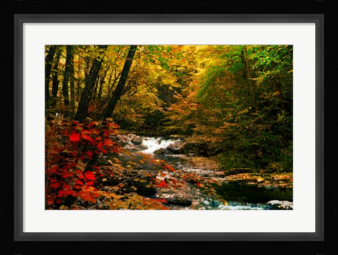 Framed Mountain Stream Print