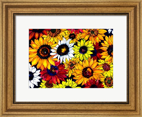 Framed Sunflower Mix Print