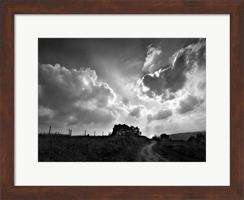 Framed Lonely Path I Print