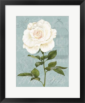 Framed Cream Rose I Print
